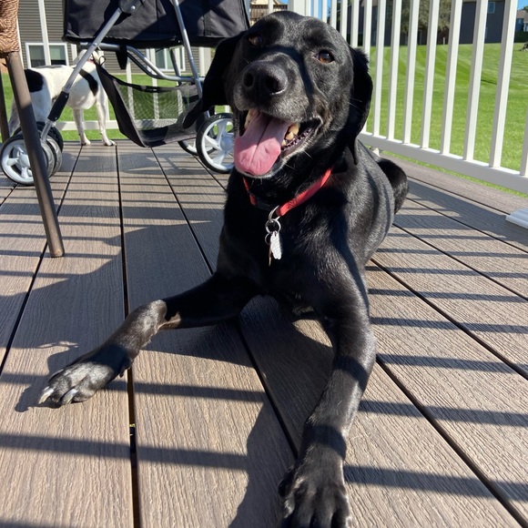 Meet the Posher! - Picture 4 of 11